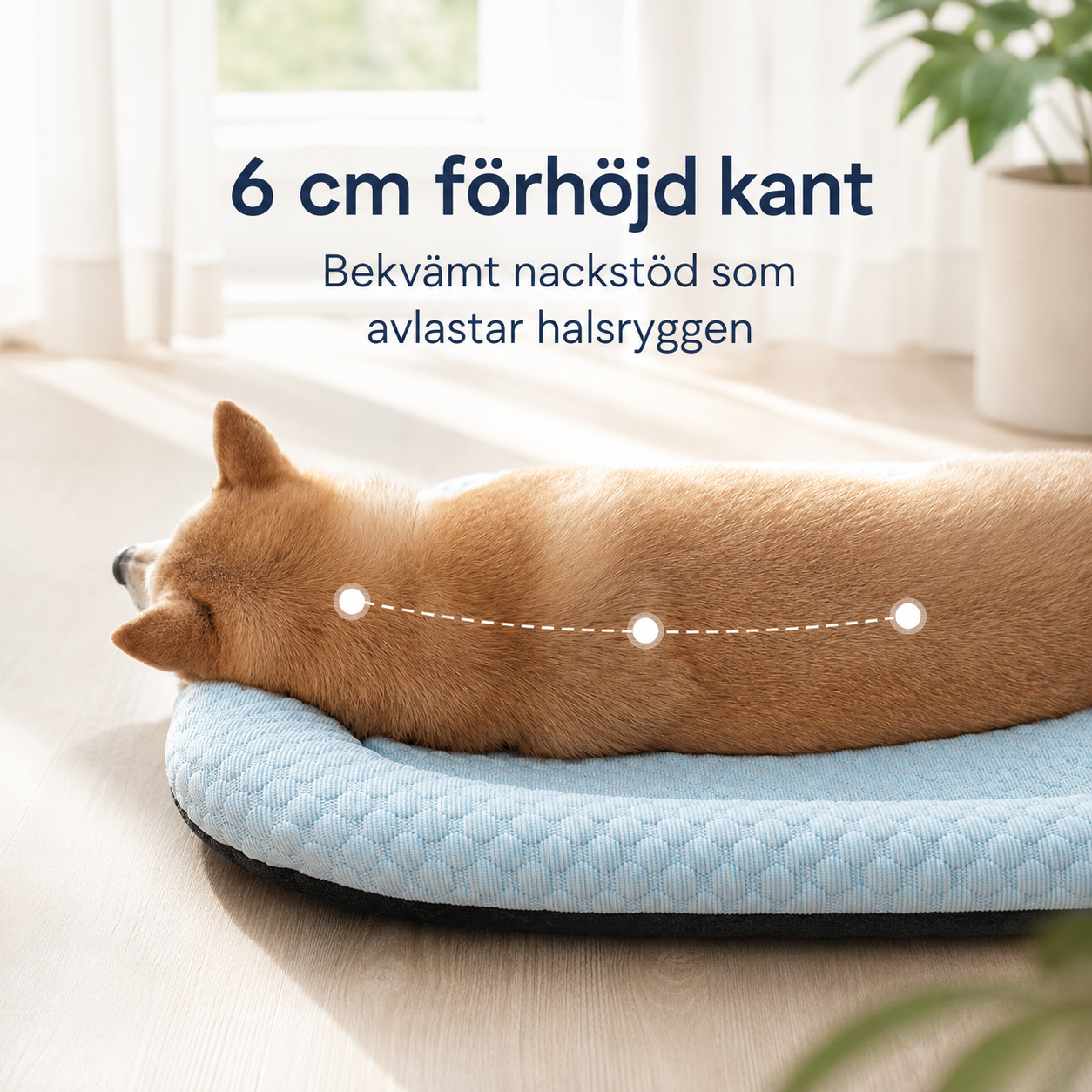 Kylmatta för Hund – Naturlig 3D Träkylmatta | S-XL, 4 Färger Design Dwell Well