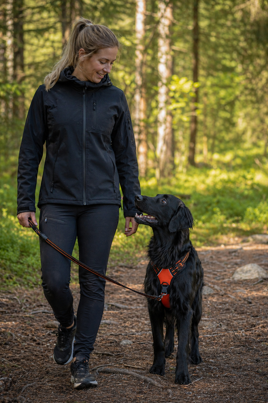 No-Pull Hundsele – Stoppa Dragandet på Sekunder | S–XL, 9 Färger Design Dwell Well