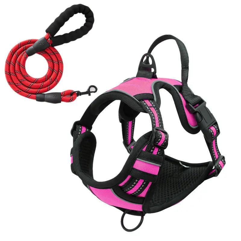 No-Pull hundsele och koppel i komplett set