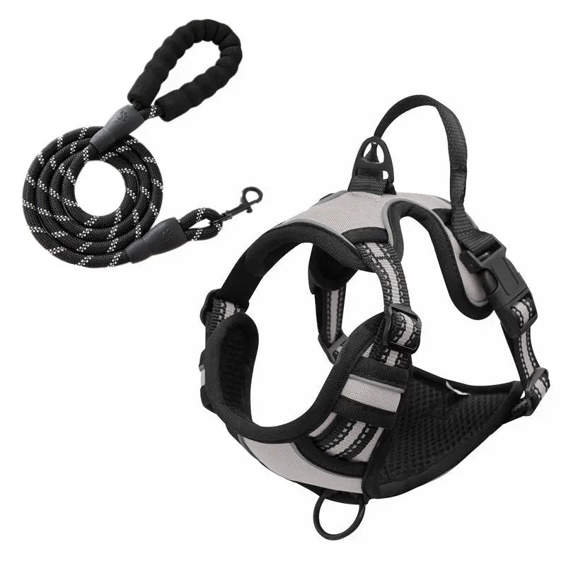 No-Pull hundsele med frontfäste